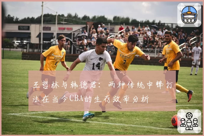 王哲林与韩德君:两种传统中锋打法在当今CBA的生存效率分析