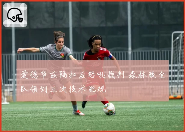 爱德华兹隔扣后怒吼裁判 森林狼全队领到三次技术犯规