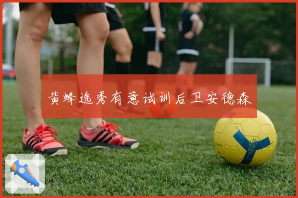 黄蜂选秀有意试训后卫安德森