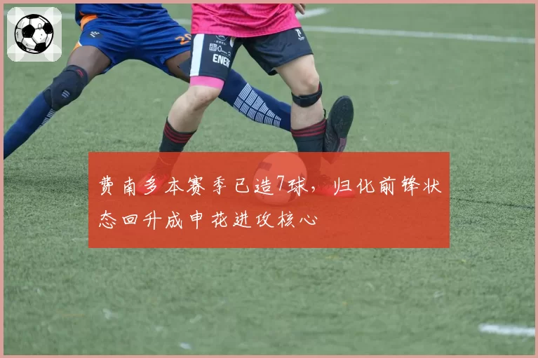 费南多本赛季已造7球,归化前锋状态回升成申花进攻核心