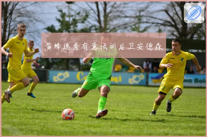 黄蜂选秀有意试训后卫安德森