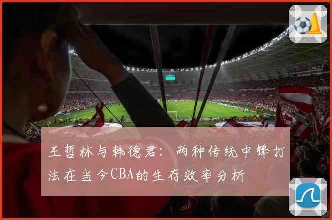 王哲林与韩德君:两种传统中锋打法在当今CBA的生存效率分析